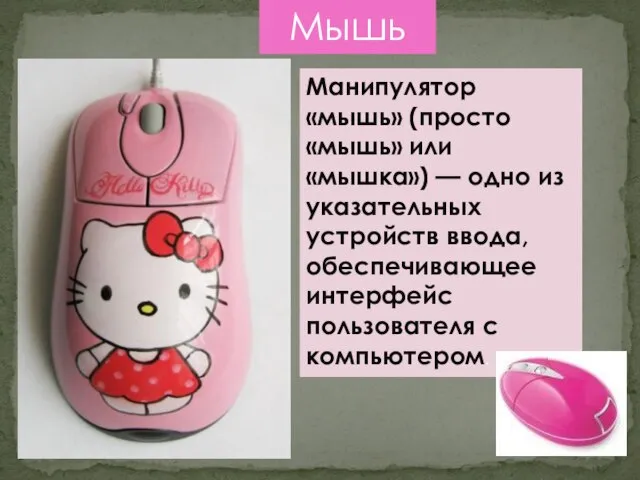 Мышь Манипулятор «мышь» (просто «мышь» или «мышка») — одно из указательных устройств