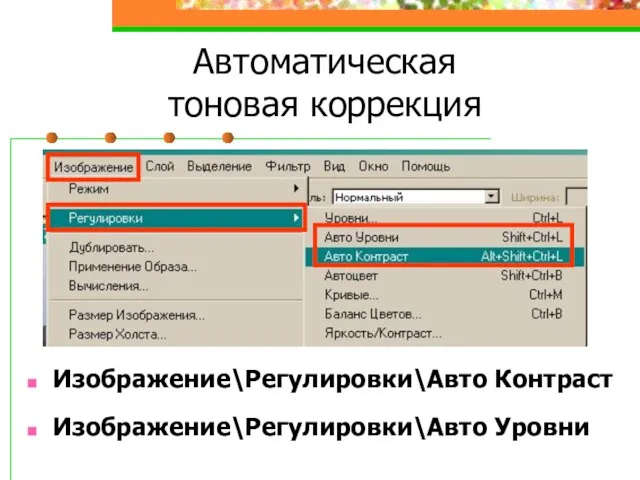 Автоматическая тоновая коррекция Изображение\Регулировки\Авто Контраст Изображение\Регулировки\Авто Уровни