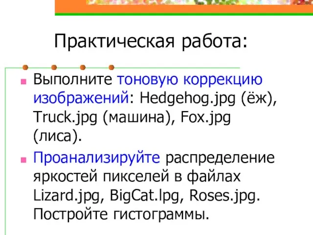 Практическая работа: Выполните тоновую коррекцию изображений: Hedgehog.jpg (ёж), Truck.jpg (машина), Fox.jpg (лиса).