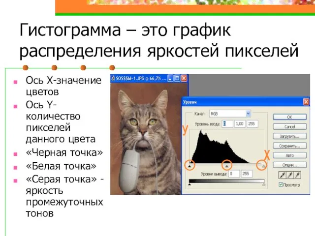 Гистограмма – это график распределения яркостей пикселей Ось Х-значение цветов Ось Y-количество