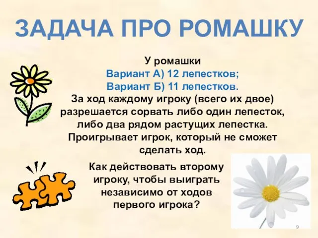 ЗАДАЧА ПРО РОМАШКУ У ромашки Вариант А) 12 лепестков; Вариант Б) 11