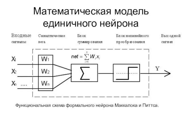 Математическая модель единичного нейрона Функциональная схема формального нейрона Маккалока и Питтса.