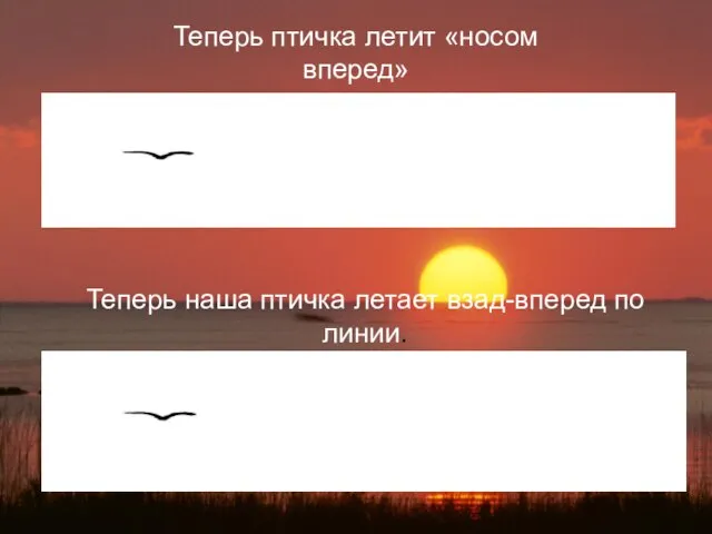 Теперь наша птичка летает взад-вперед по линии. Теперь птичка летит «носом вперед»