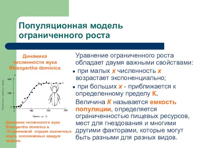 Популяционная модель ограниченного роста Уравнение ограниченного роста обладает двумя важными свойствами: при