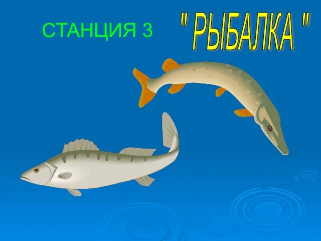 СТАНЦИЯ 3 " РЫБАЛКА "