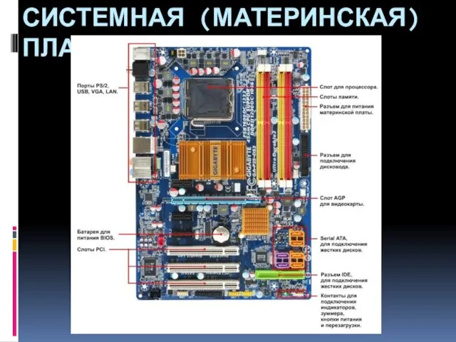 СИСТЕМНАЯ (МАТЕРИНСКАЯ) ПЛАТА