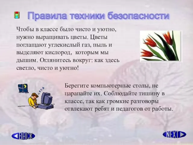 Правила техники безопасности Чтобы в классе было чисто и уютно, нужно выращивать