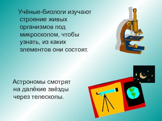 Учёные-биологи изучают строение живых организмов под микроскопом, чтобы узнать, из каких элементов