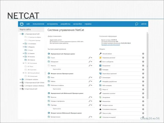 NETCAT Слайд из 56