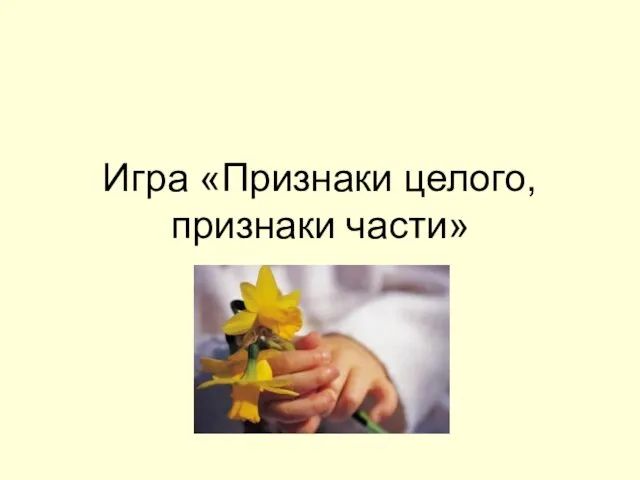 Игра «Признаки целого, признаки части»