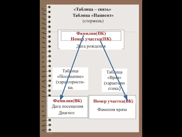 «Таблица – связь» Таблица «Пациент» (стержень) Таблица «Врач» (характеристика) Фамилия(ВК) Дата посещения Диагноз Таблица «Посещение» (характеристи-ка)