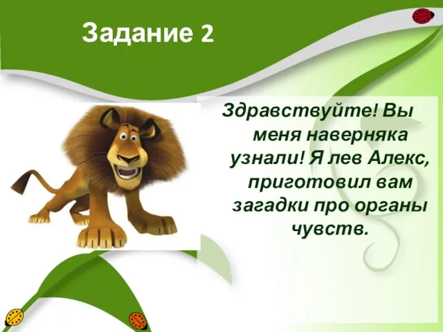 Задание 2 Здравствуйте! Вы меня наверняка узнали! Я лев Алекс, приготовил вам загадки про органы чувств.