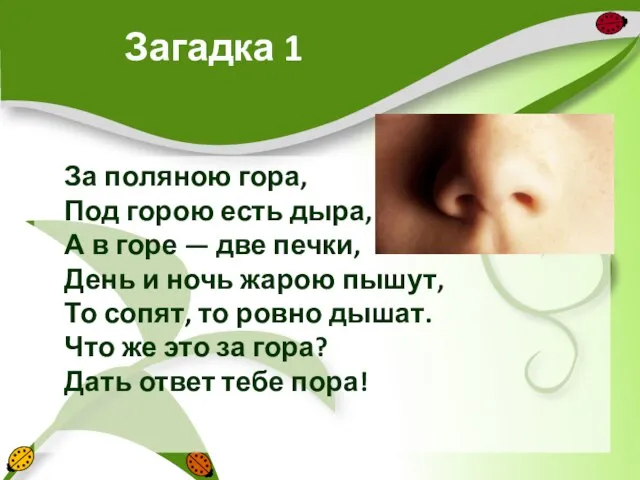 Загадка 1 За поляною гора, Под горою есть дыра, А в горе