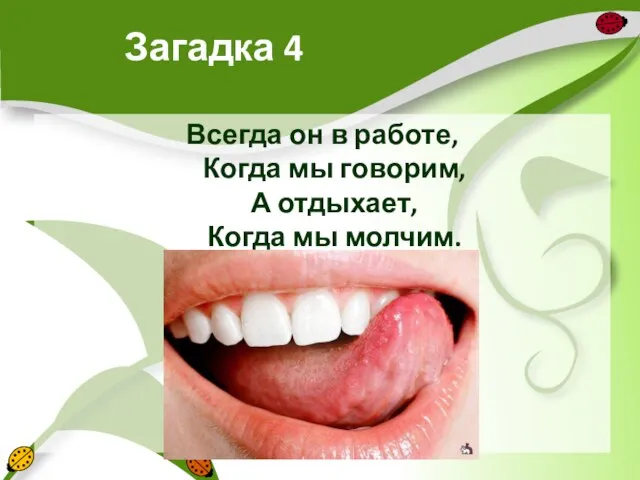 Загадка 4 Всегда он в работе, Когда мы говорим, А отдыхает, Когда мы молчим.