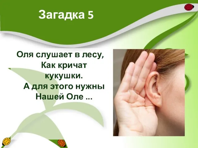 Загадка 5 Оля слушает в лесу, Как кричат кукушки. А для этого нужны Нашей Оле ...