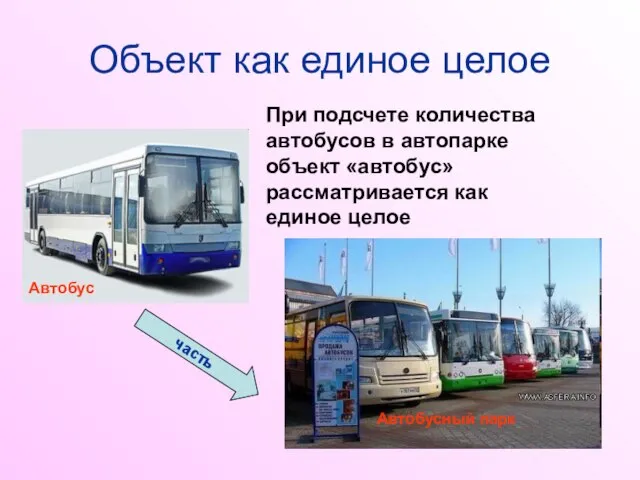 Объект как единое целое При подсчете количества автобусов в автопарке объект «автобус»