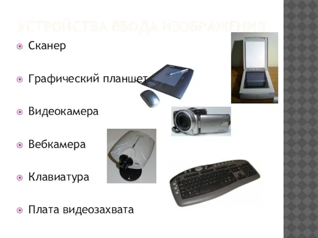 Устройства ввода изображения Сканер Графический планшет Видеокамера Вебкамера Клавиатура Плата видеозахвата