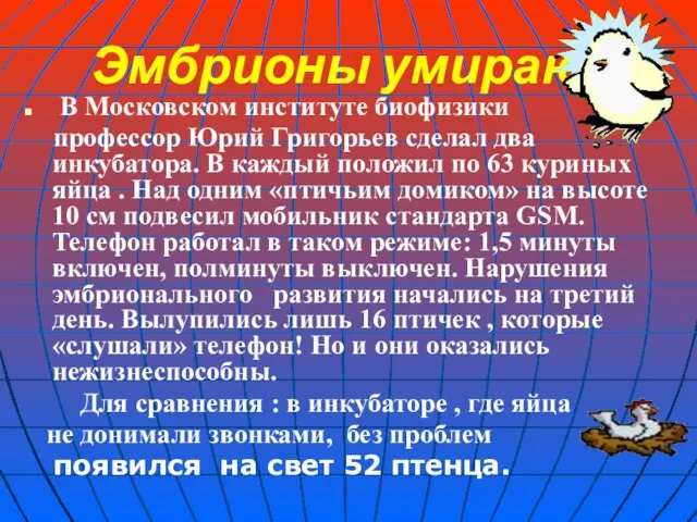 Эмбрионы умирают В Московском институте биофизики профессор Юрий Григорьев сделал два инкубатора.