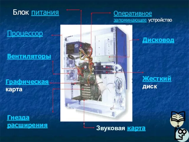 Оперативное запоминающее устройство Блок питания Процессор Вентиляторы Графическая карта Гнезда расширения Звуковая карта Жесткий диск Дисковод