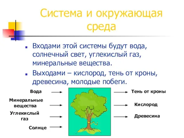 Система и окружающая среда Входами этой системы будут вода, солнечный свет, углекислый