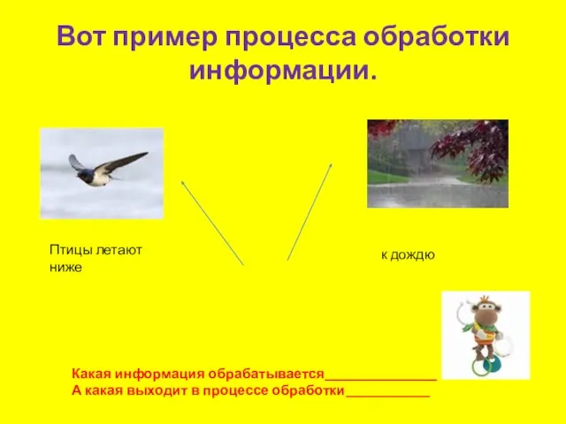 Вот пример процесса обработки информации. Птицы летают ниже к дождю Какая информация