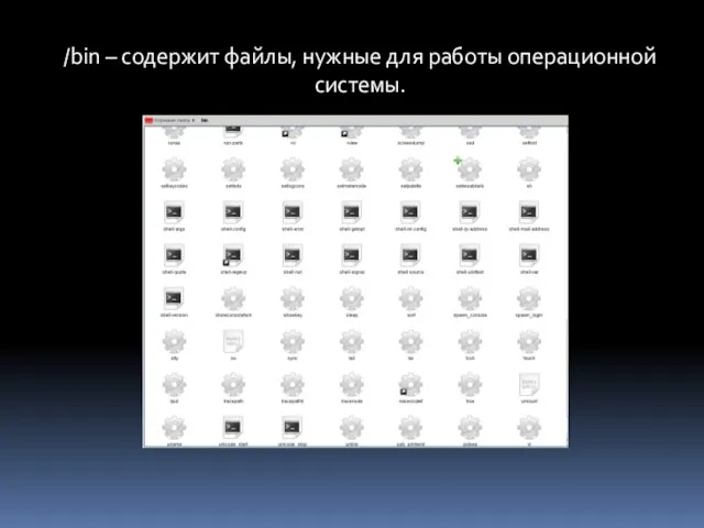 /bin – содержит файлы, нужные для работы операционной системы.