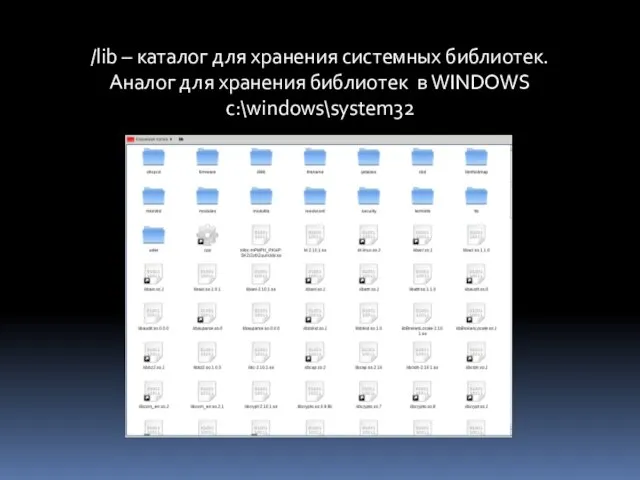 /lib – каталог для хранения системных библиотек. Аналог для хранения библиотек в WINDOWS c:\windows\system32