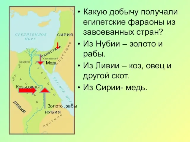 Какую добычу получали египетские фараоны из завоеванных стран? Из Нубии – золото