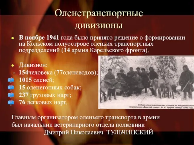 Оленетранспортные дивизионы В ноябре 1941 года было принято решение о формировании на