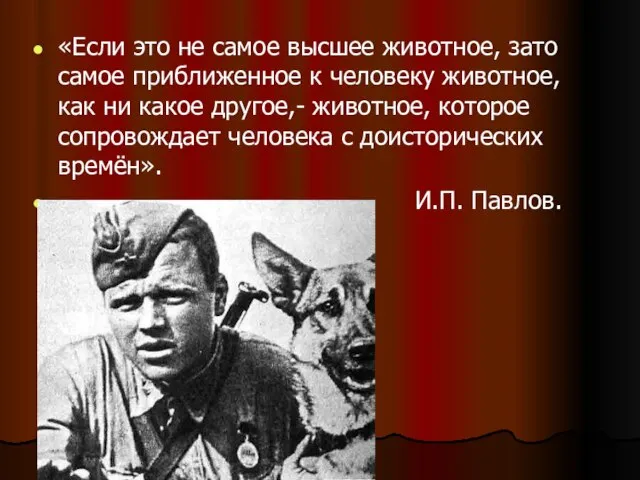 «Если это не самое высшее животное, зато самое приближенное к человеку животное,