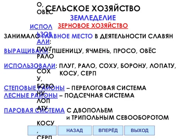 СЕЛЬСКОЕ ХОЗЯЙСТВО ЗЕМЛЕДЕЛИЕ ЗЕРНОВОЕ ХОЗЯЙСТВО ЗАНИМАЛО ГЛАВНОЕ МЕСТО В ДЕЯТЕЛЬНОСТИ СЛАВЯН ВЫРАЩИВАЛИ: