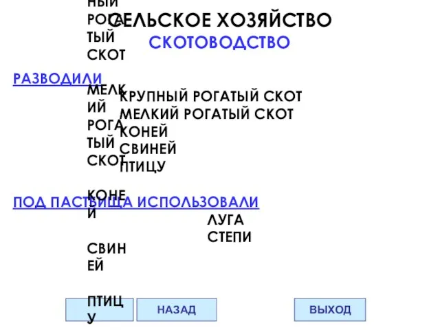 СЕЛЬСКОЕ ХОЗЯЙСТВО СКОТОВОДСТВО РАЗВОДИЛИ КРУПНЫЙ РОГАТЫЙ СКОТ МЕЛКИЙ РОГАТЫЙ СКОТ КОНЕЙ СВИНЕЙ