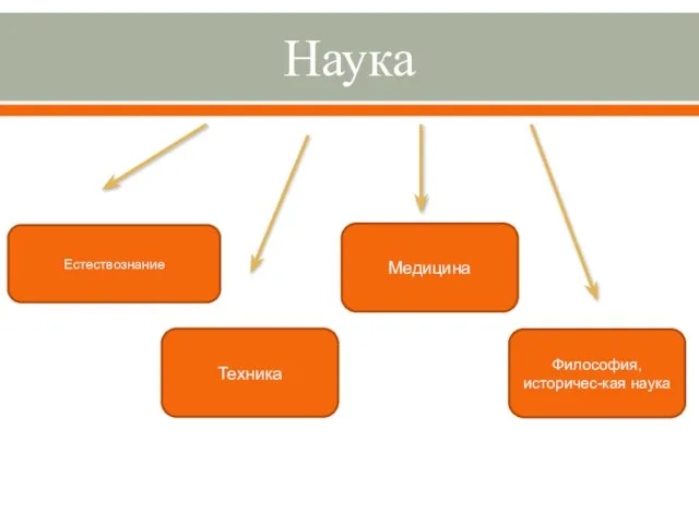 Наука Естествознание Техника Медицина Философия, историчес-кая наука