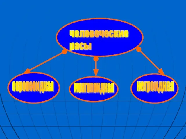 человеческие расы европеоидная монголоидная негроидная