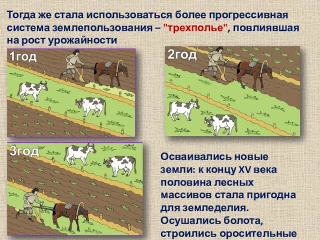 Тогда же стала использоваться более прогрессивная система землепользования – "трехполье", повлиявшая на