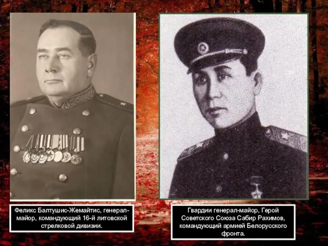Феликс Балтушис-Жемайтис, генерал-майор, командующий 16-й литовской стрелковой дивизии. Гвардии генерал-майор, Герой Советского