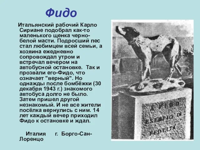 Фидо Итальянский рабочий Карло Сириане подобрал как-то маленького щенка черно-белой масти. Подросший