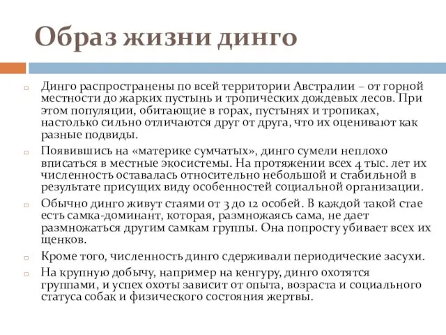 Образ жизни динго Динго распространены по всей территории Австралии – от горной