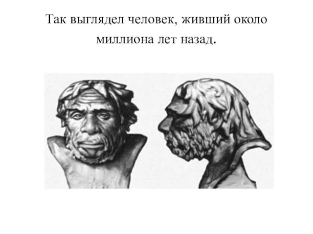 Так выглядел человек, живший около миллиона лет назад.