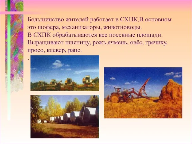 Большинство жителей работает в СХПК.В основном это шофера, механизаторы, животноводы. В СХПК