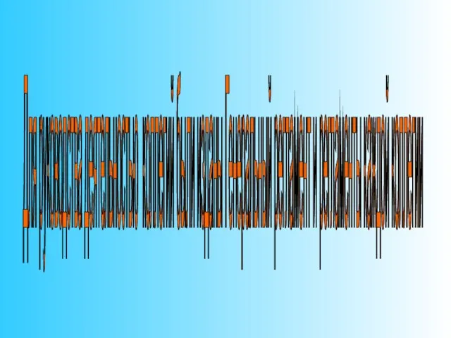 Для руководства деятельностью коллегий были изданы Генеральный регламент и регламенты каждой коллегии