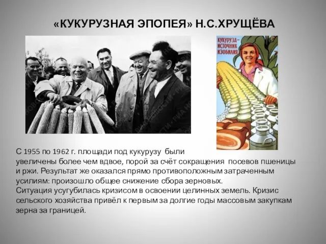 «Кукурузная эпопея» Н.С.Хрущёва С 1955 по 1962 г. площади под кукурузу были