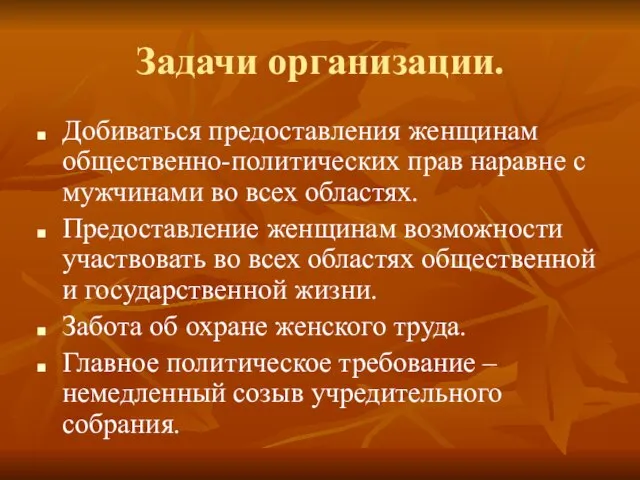 Задачи организации. Добиваться предоставления женщинам общественно-политических прав наравне с мужчинами во всех