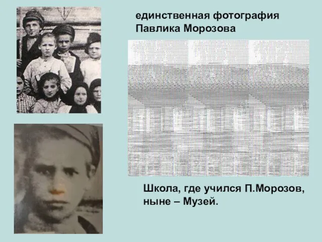единственная фотография Павлика Морозова Школа, где учился П.Морозов, ныне – Музей.