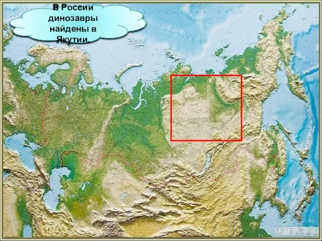 В России динозавры найдены в Якутии.