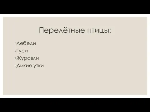 Перелётные птицы: Лебеди Гуси Журавли Дикие утки