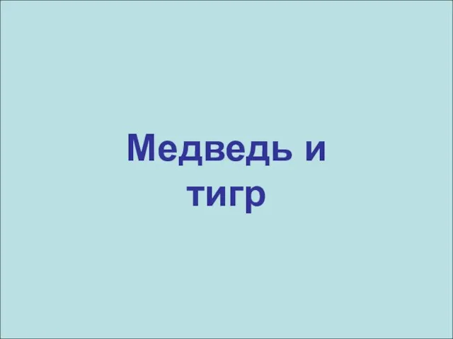 Медведь и тигр