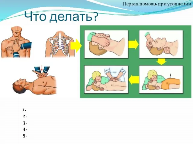 Что делать? Первая помощь при утоплении 1. 2. 3. 4. 5.