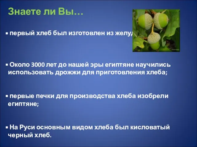 Знаете ли Вы… первый хлеб был изготовлен из желудей; Около 3000 лет