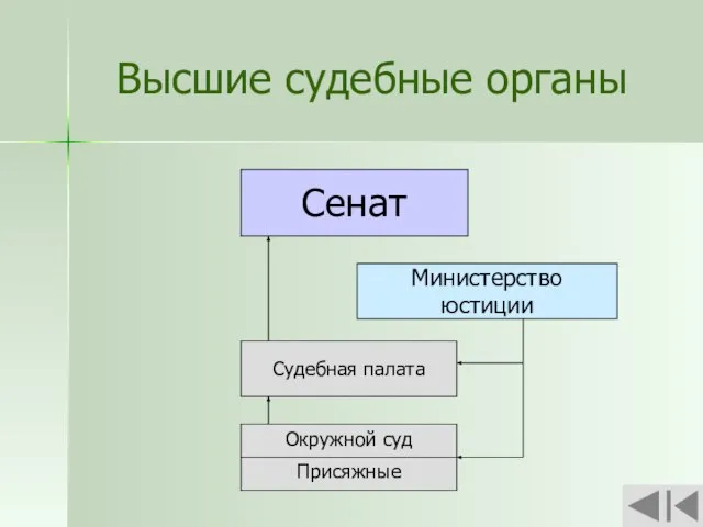 Высшие судебные органы Сенат Министерство юстиции Судебная палата Окружной суд Присяжные